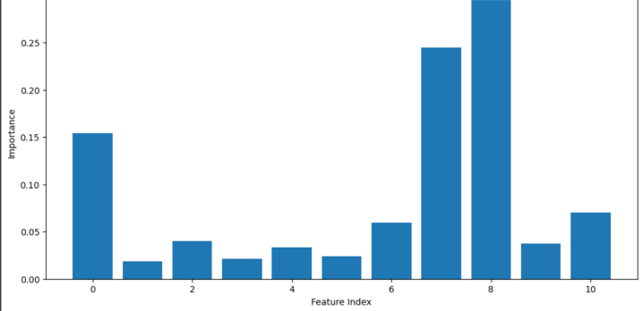 Feature Importance